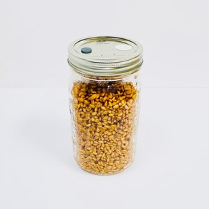May include: A clear glass jar filled with golden grains, topped with a silver lid. The lid has a small, gray button and a white circular vent. The jar is sitting on a white surface.