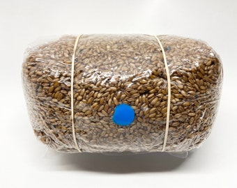 Organic Rye Berries Grain Spawn Bag – Sterilized Mushroom Substrate (5 lbs.)