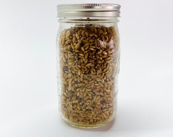 Organic Rye Berries - Mushroom Grain Spawn Substrate - Quart Jar - Organic - Sterilized