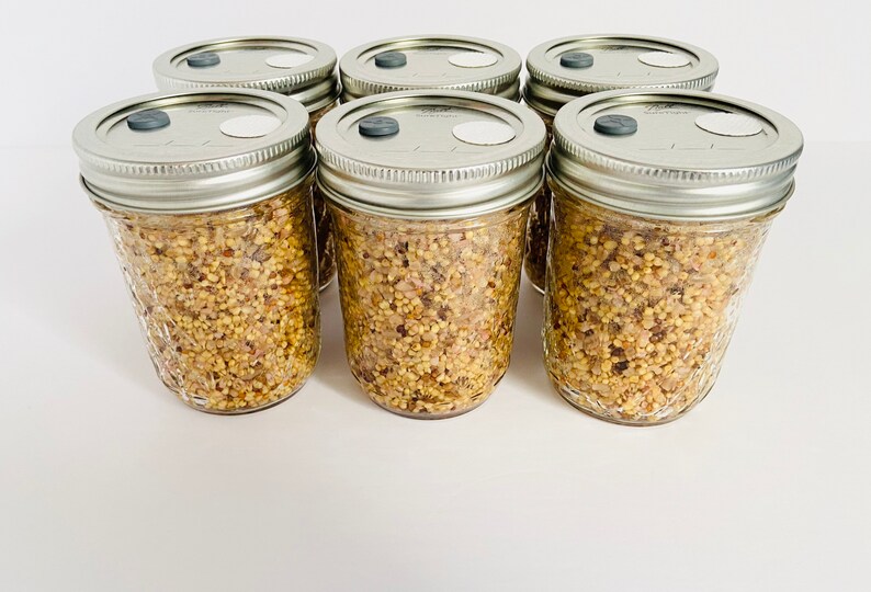 WBS Mushroom Grain Spawn Substrate 6 Halfpint Jars Etsy