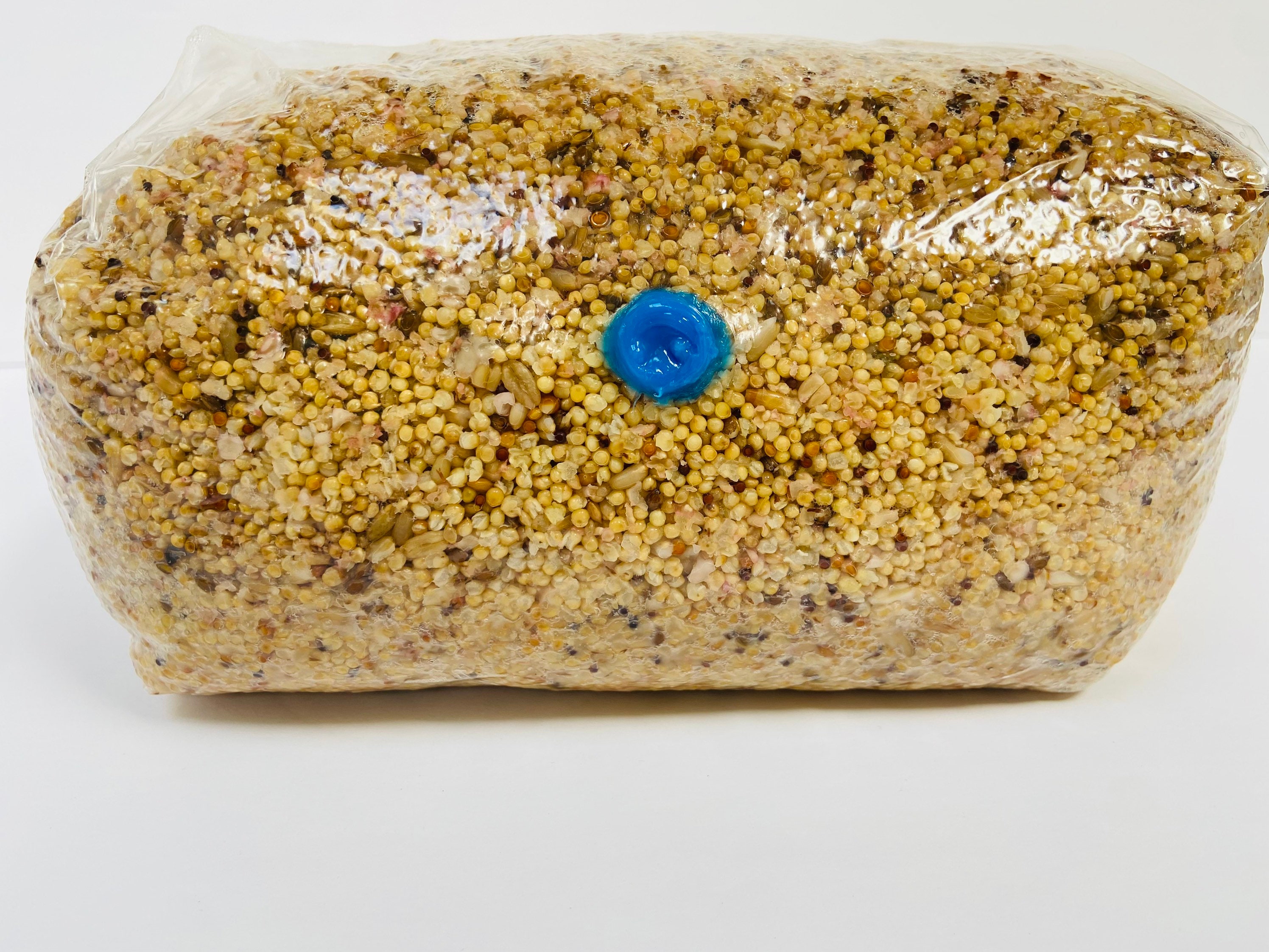 Wild Bird Seed Mushroom Grain Spawn Substrate Sterilized Etsy