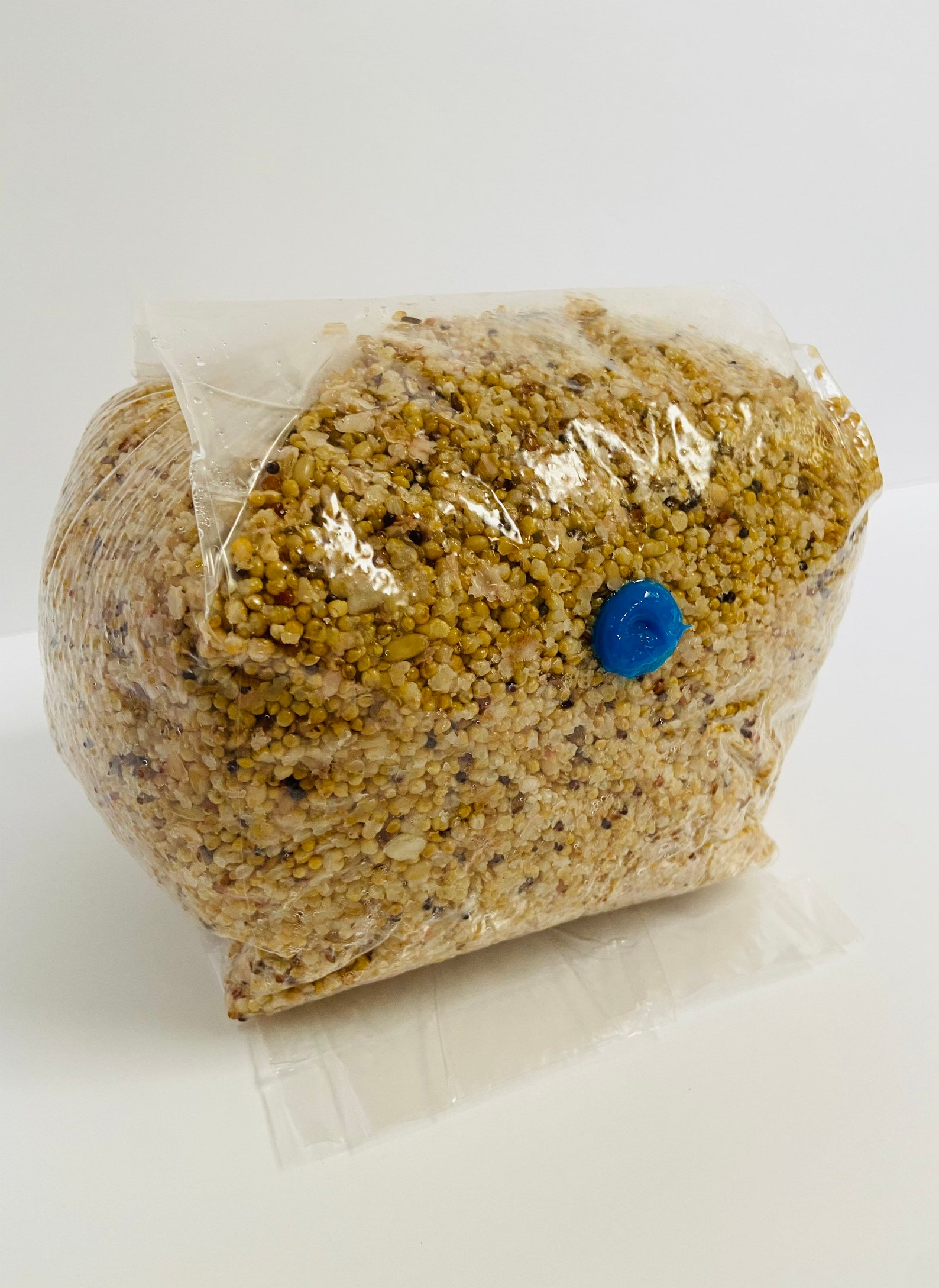 Wild Bird Seed Mushroom Grain Spawn Substrate Sterilized Etsy