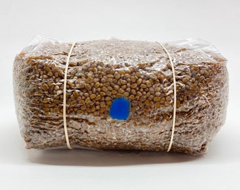 Organic Wheat Berries Mushroom Grain Spawn Substrate (5 lbs.)