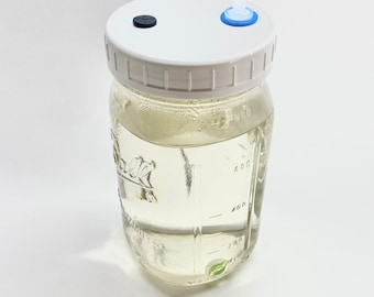 Mushroom Liquid Culture Solution - Quart Jar, Sterilized
