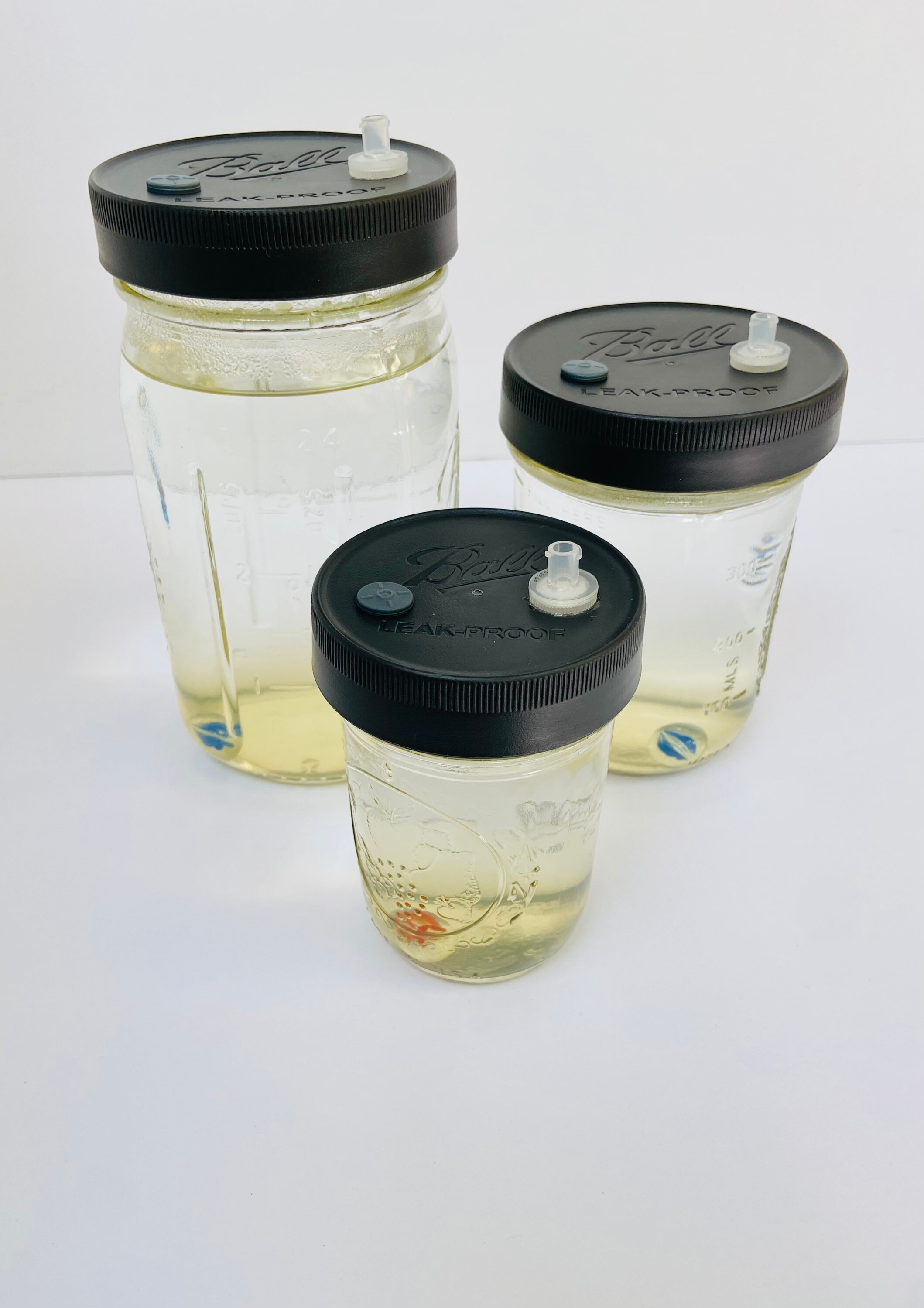 Liquid Culture for Mushrooms HalfPint Jar Sterilized Etsy