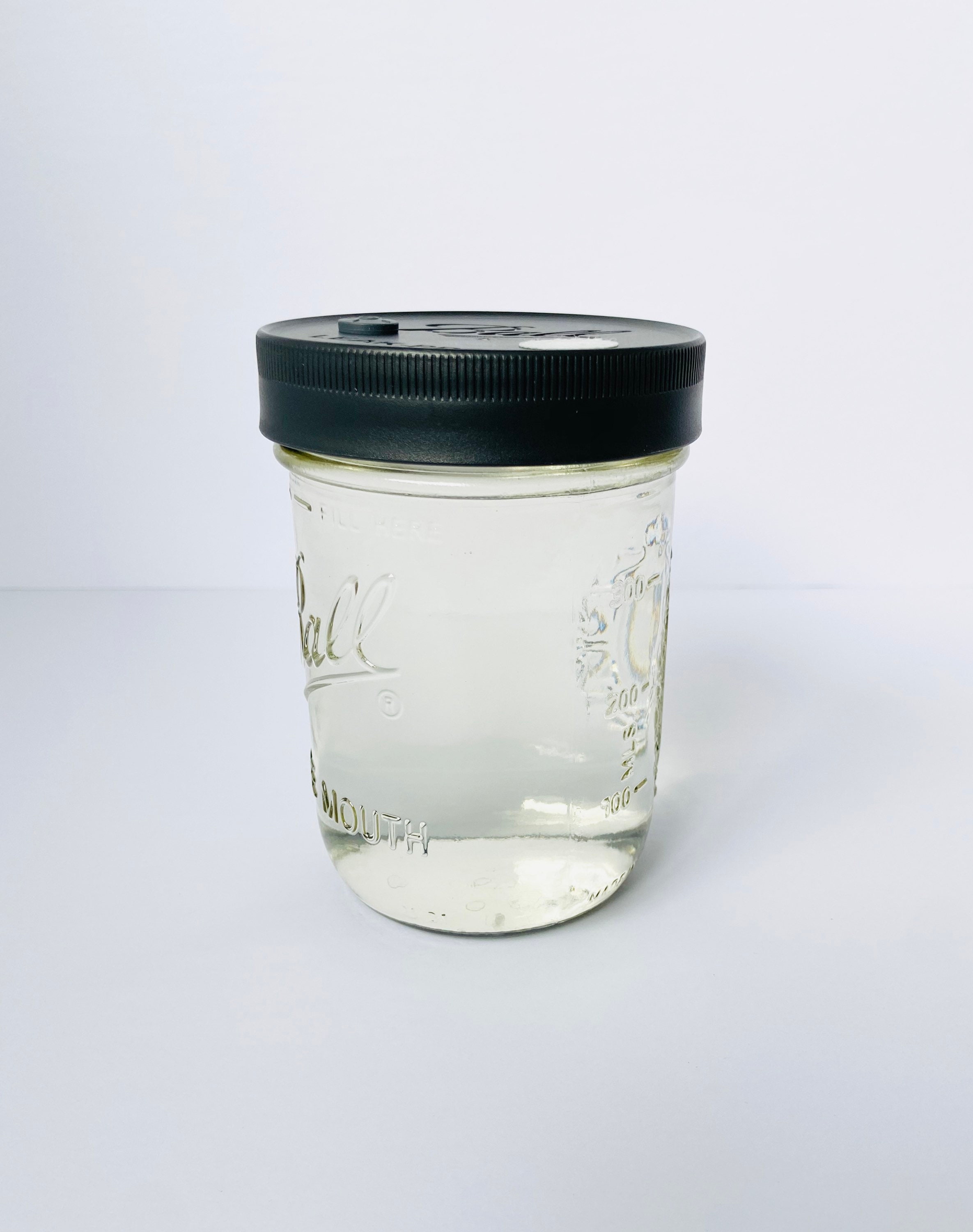 Liquid Culture for Mushrooms Pint Jar Sterilized Etsy