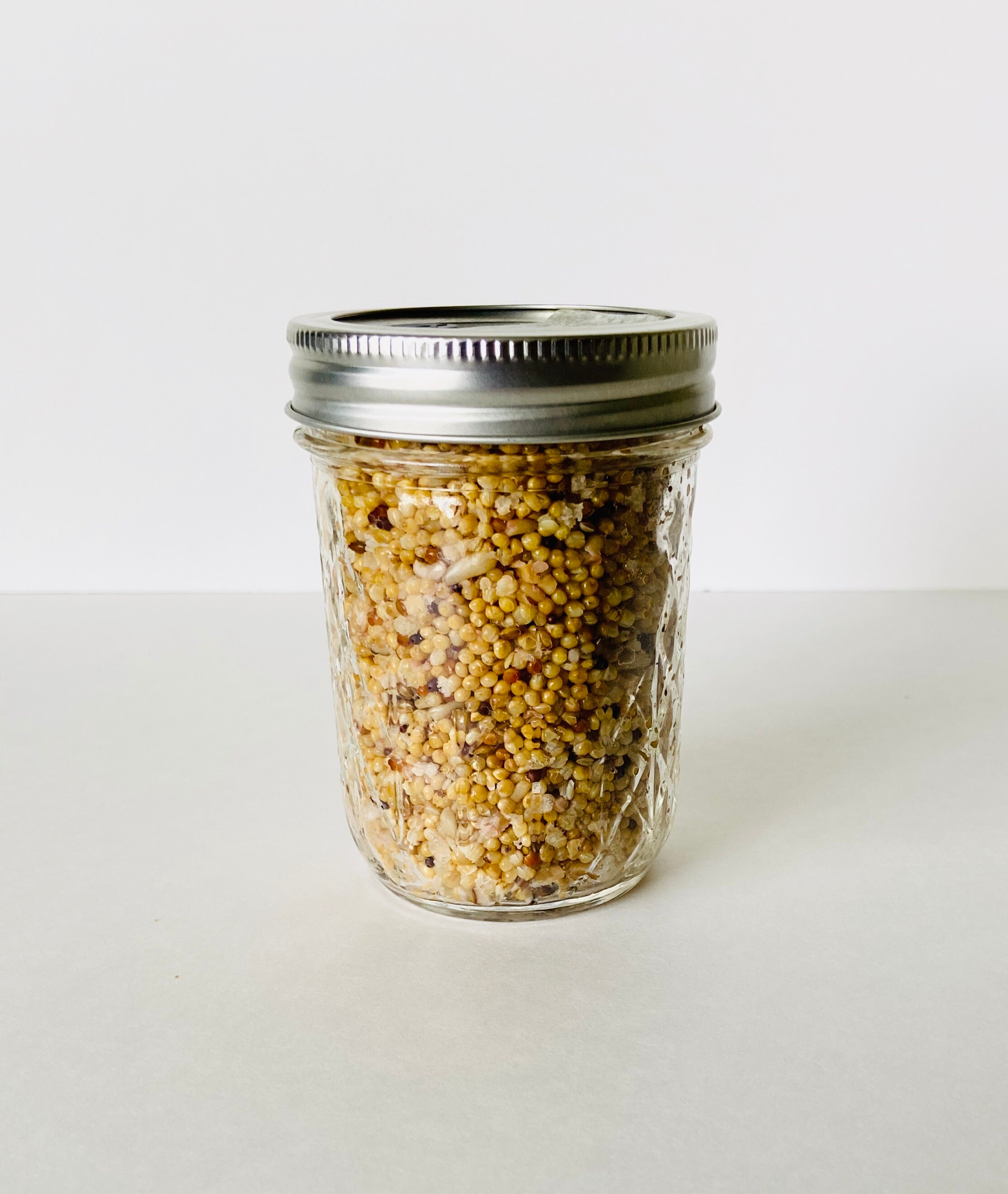 Beginner's Guide To Growing Mushrooms DIY MonoTub Method Etsy