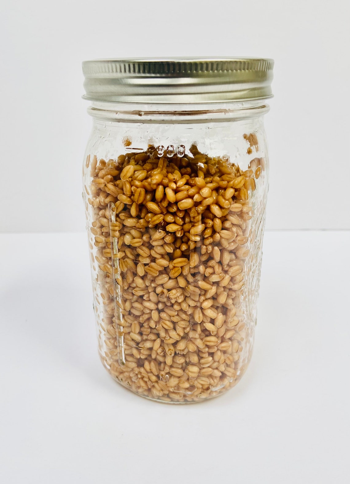 Organic Wheat Berries Mushroom Grain Spawn Substrate Quart Etsy UK