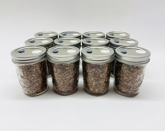 Organic Rye Berries - Mushroom Grain Spawn Substrate - 12 Half-Pint Jars - Sterilized