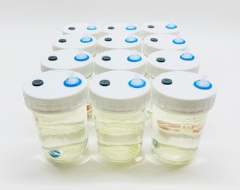 Mushroom Liquid Culture Solution - 12 Half Pint Jars, Sterilized