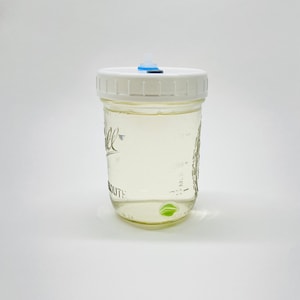 Mushroom Liquid Culture Solution - Sterilized Pint Jar with Filter