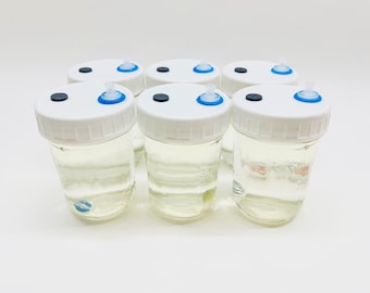 Mushroom Liquid Culture – Sterilized Half Pint Jars, Silicone Seal (6-Pack)