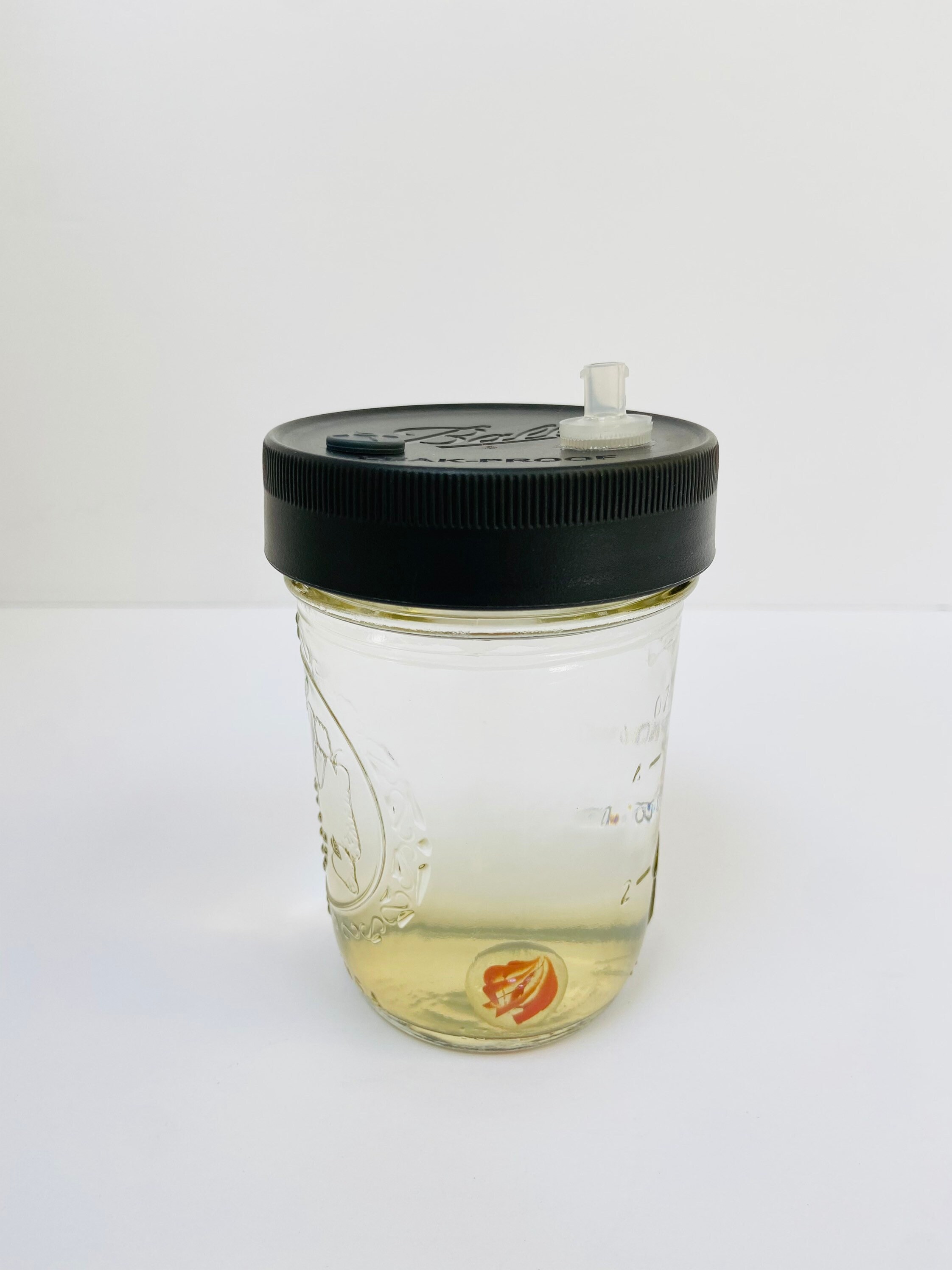 Liquid Culture for Mushrooms HalfPint Jar Sterilized Etsy