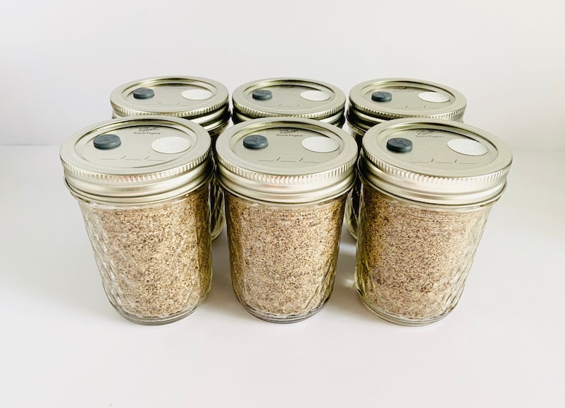 BRF Mushroom Substrate 6 Halfpint Jars Sterilized Etsy