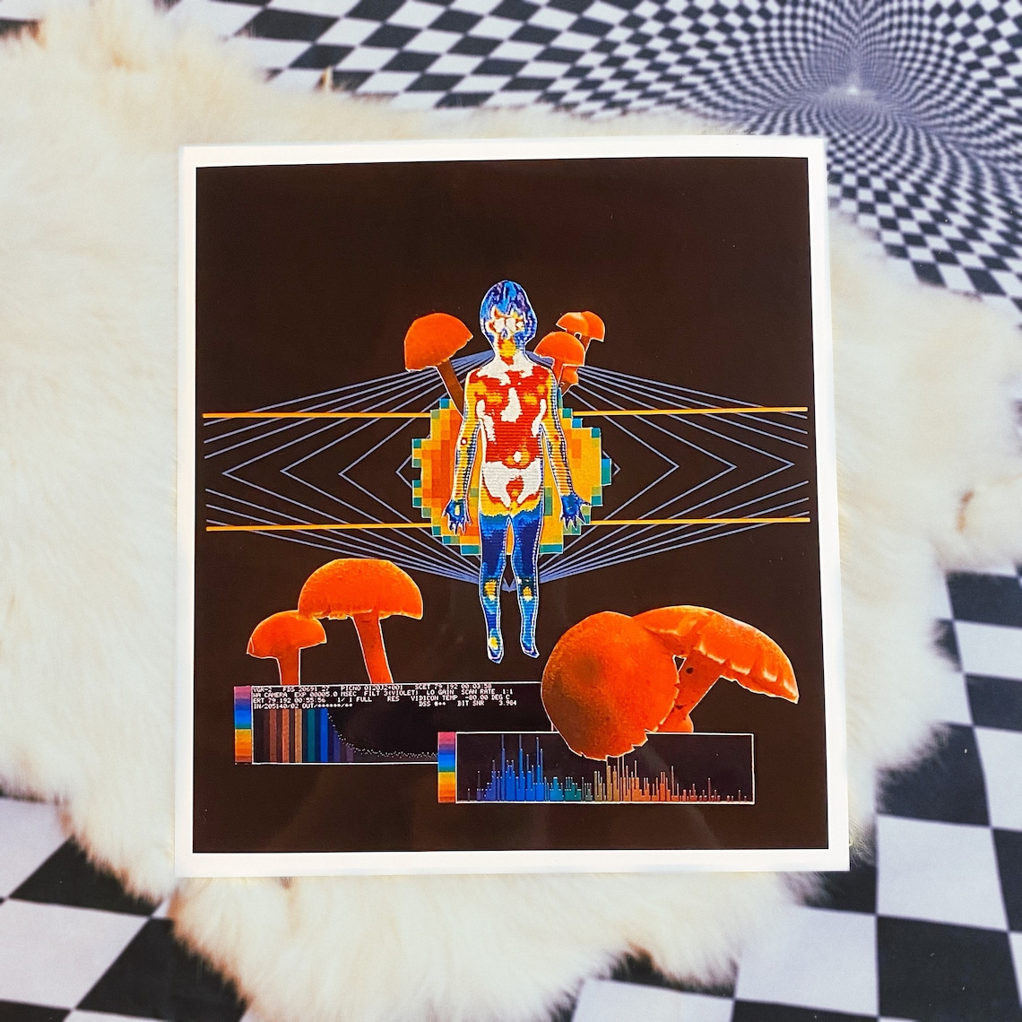 2 PRINT BUNDLE pick 2 prints at a discount art print wall