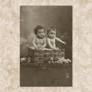Adorables bébés dans un panier - Carte postale originale française vintage du début des années 1900.