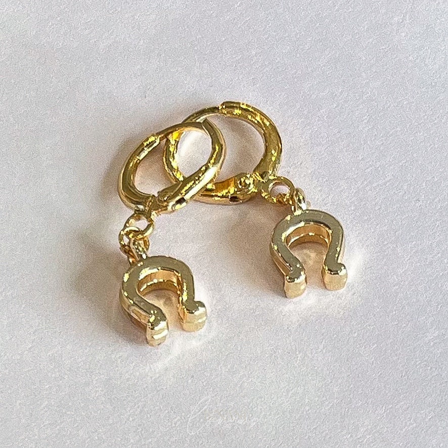 Horseshoe earrings discount