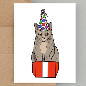 Carte d'anniversaire drôle de chat, carte de voeux de chat, carte d'anniversaire de chat, carte drôle, carte de chapeau de fête de chat, carte de chat