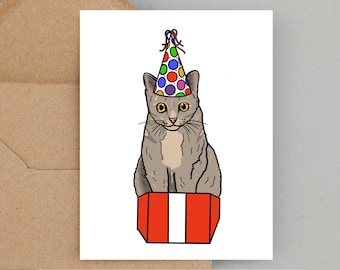 Funny Cat Birthday Card, Cat Greeting Card, Cat Birthday Card, Funny Card, Cat Party Hat Card, Cat Card