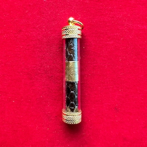 lucky amulet Tra god snake lucky charm & amulet