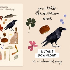 Afdrukbaar natuurillustratieblad + PNG | A4 geïllustreerde herfststickers | Journaling, scrapbooking, verpakkingen – persoonlijk gebruik