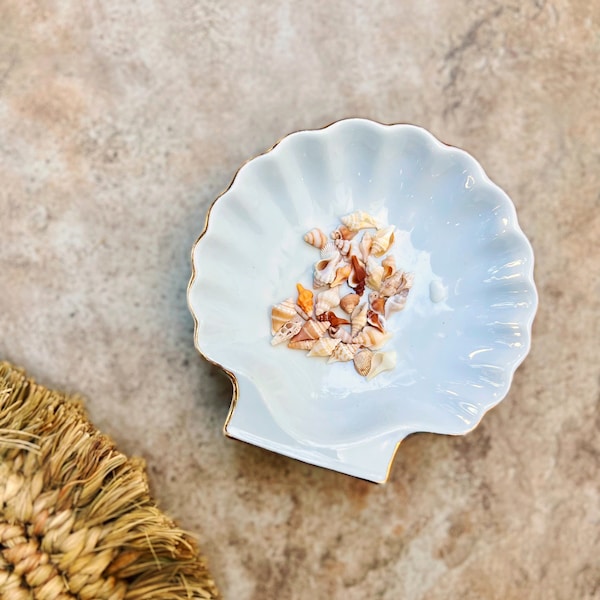 Porcelain Seashell Dish