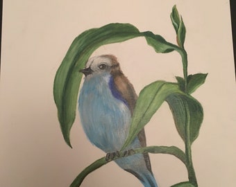 54 kinds of flowers 64 step-by-step demos Creating Radiant Flowers in Colored Pencil