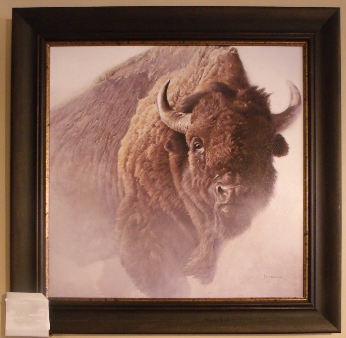 Buffalo Framed Art Picture Etsy