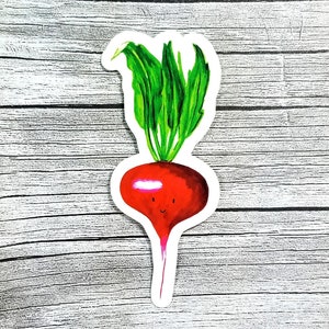 Autocollant radish - Art d'autocollant de radish