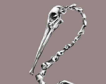 May include: A detailed pencil drawing of a bird skeleton, with the skull and neck bones in a curved shape, and the wing bones spread out below.