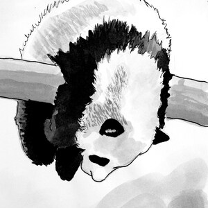 Panda &quot;Hang in there&quot;
