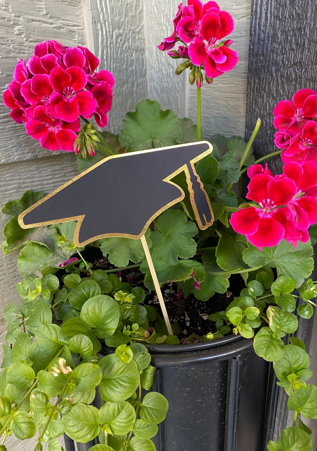 Graduation Cap Centerpiece Decoration Graduation Decoration Etsy