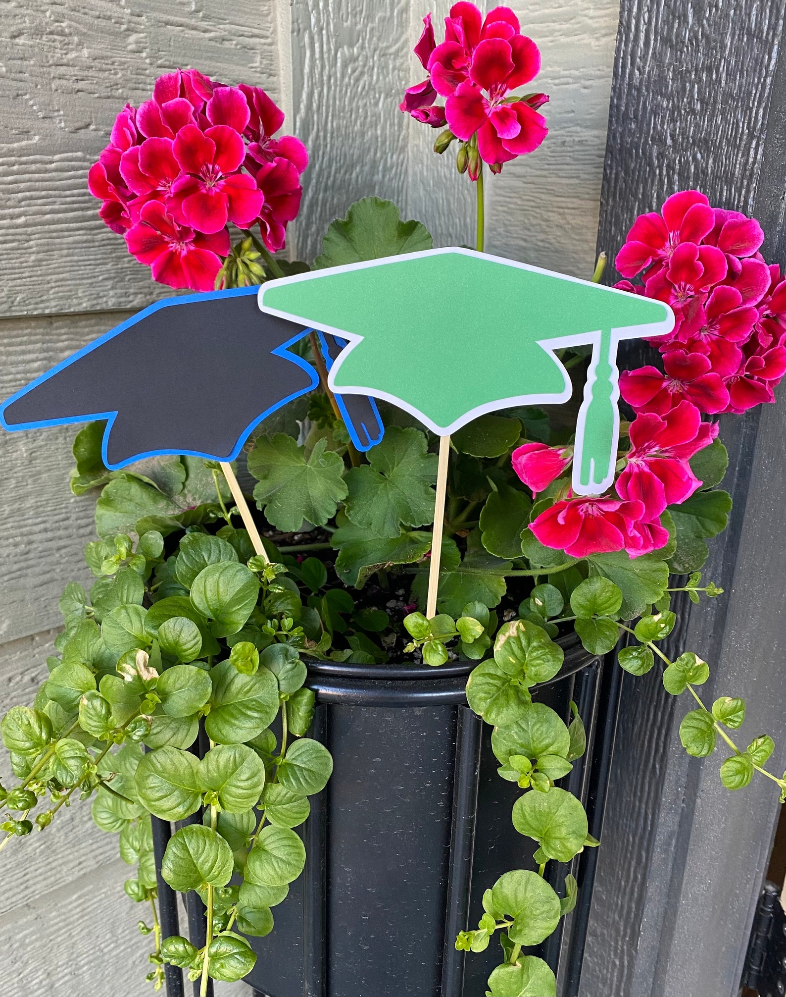 Graduation Cap Centerpiece Decoration Graduation Decoration Etsy