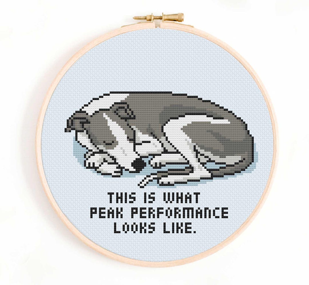 This is What Peak Performance Looks Like PDF Cross Stitch Pattern