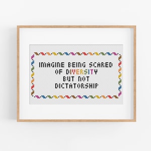 May include: A framed cross-stitch with the text "IMAGINE BEING SCARED OF DIVERSITY BUT NOT DICTATORSHIP." The text is in black on a white background, framed by a colourful border and a light brown wooden frame.