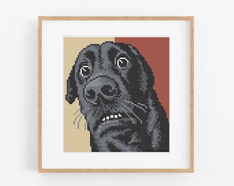 Meme de perro sorprendido - Patrón de punto de cruz con imagen de reacción de perro confundido