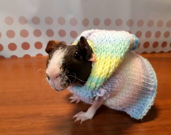 hairless guinea pig sweaters