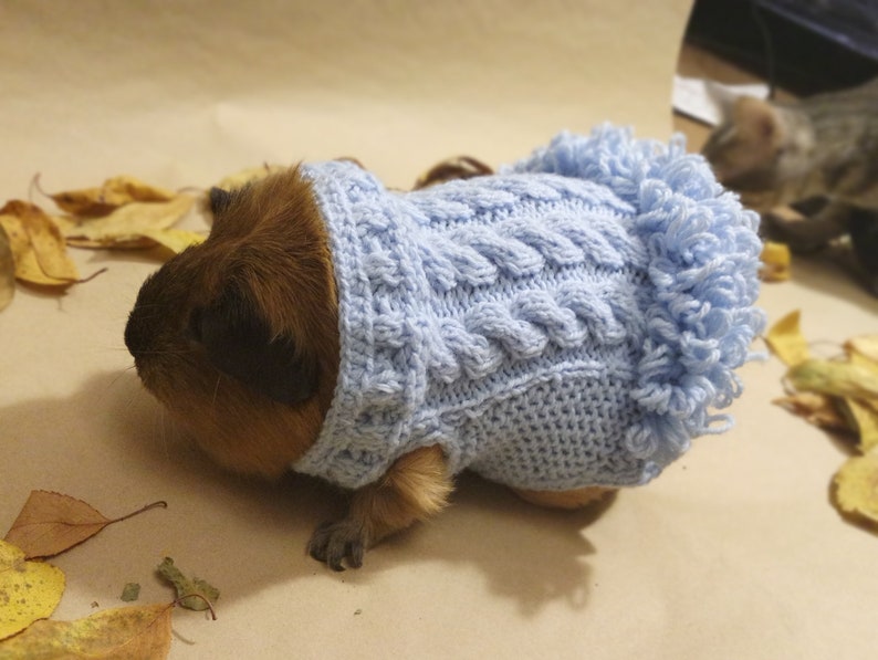 Guinea pig blue knitted dress Vavy accessories Gift knitted Etsy