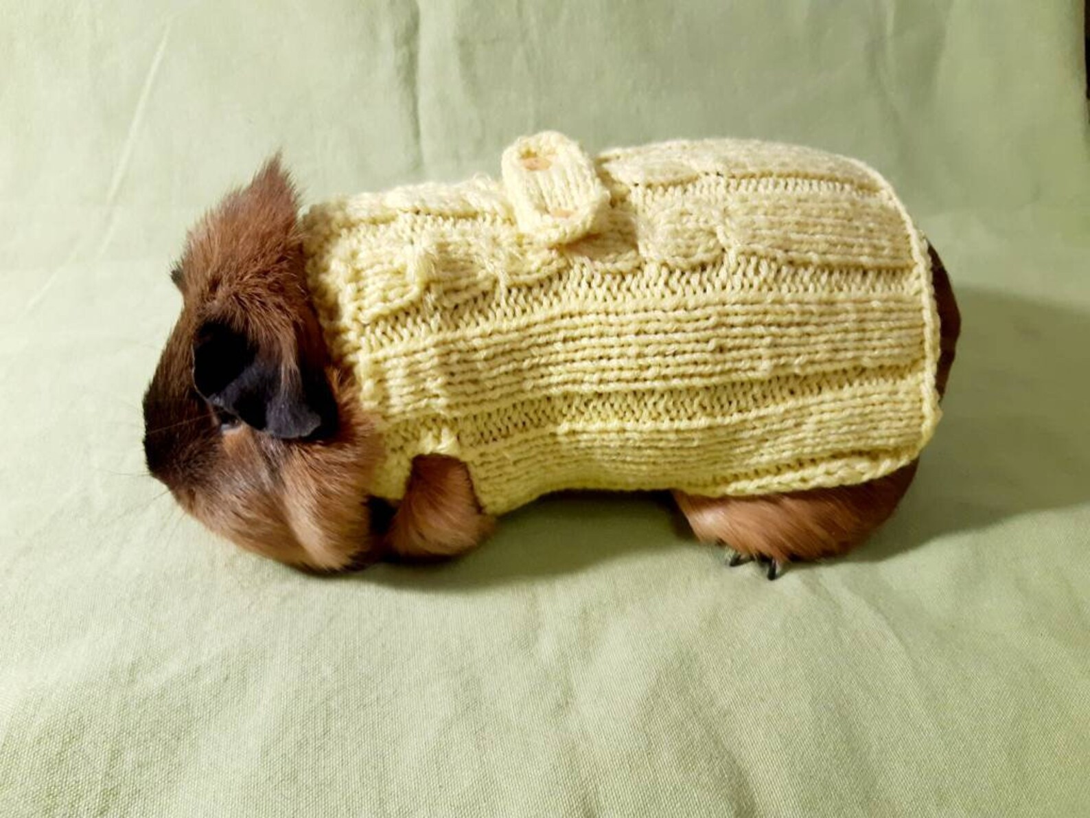 Yellow knitted soft sweater for guinea pigs or bunny Etsy