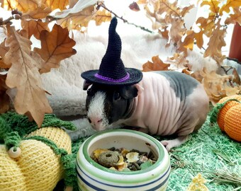 Guinea Pig Witch Hat Etsy Il 340x270.3434244269 Fubq
