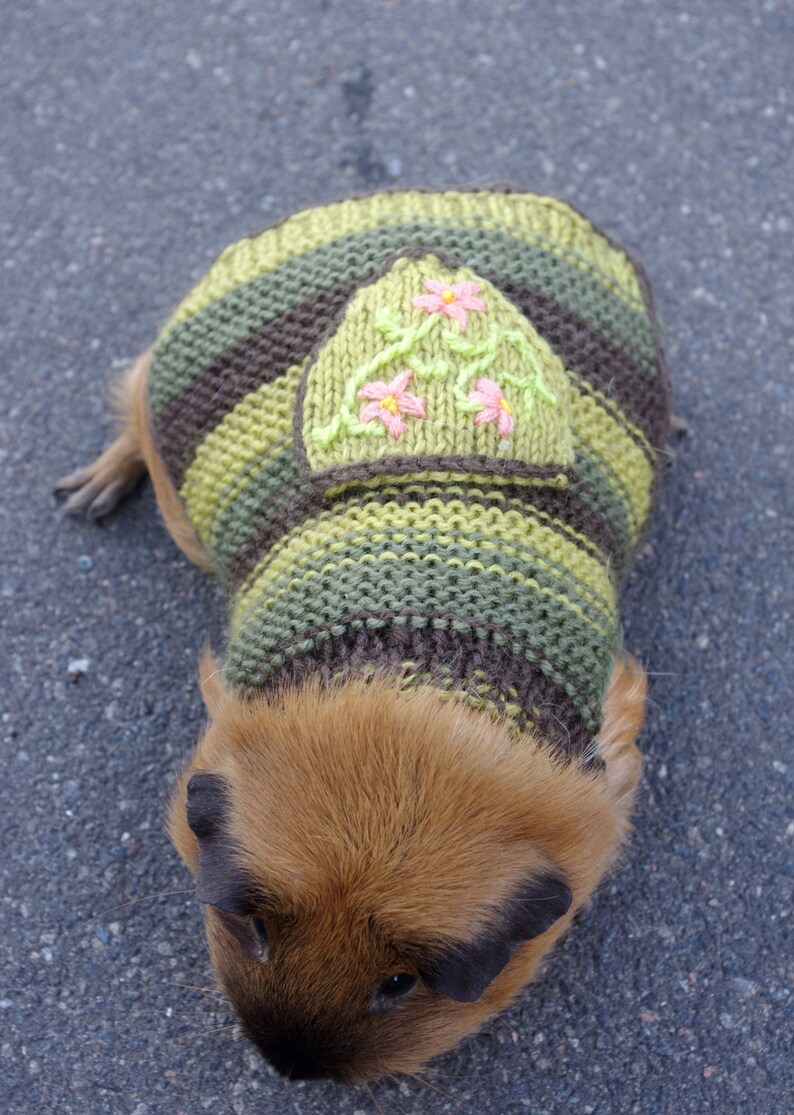Clothes for guinea pigs Hoodie for pet bunny Knitted sweater Etsy