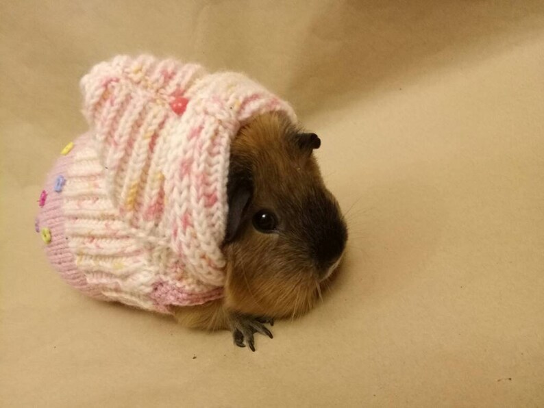 Guinea pig costumes Pink clothes for small pet gift Guinea pig Etsy
