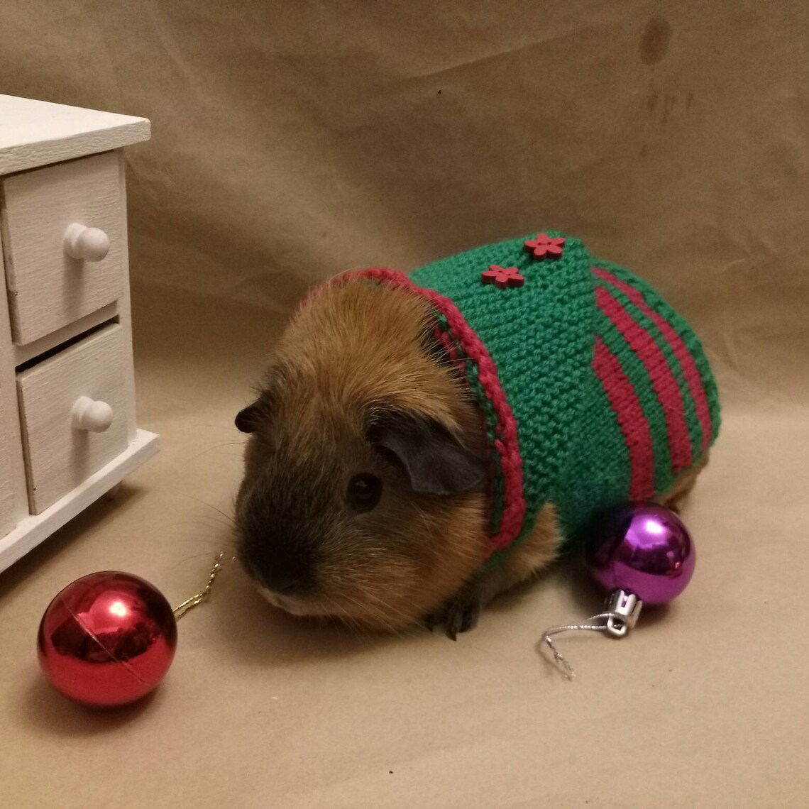 Guinea pig dress Red costumes pet Green clothes for pig Etsy
