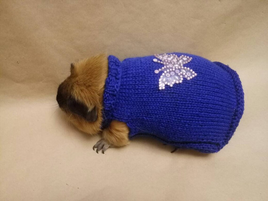 Guinea Pig Clothes Skinny Pig Blue Sweater With Butterfly Etsy