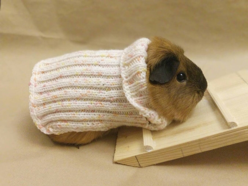 Small pets sweater For guinea pig clothes For bunny sweater Etsy