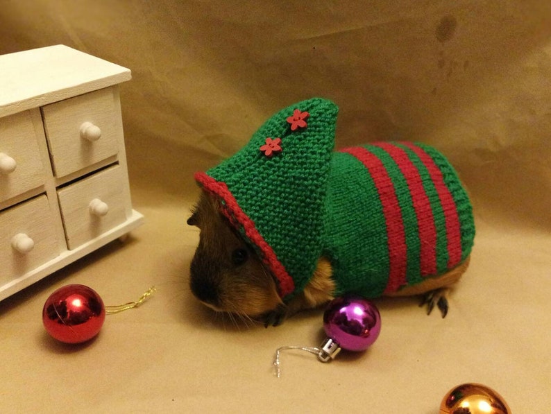 Guinea Pig Dress Red Costumes Pet Green Clothes for Pig Etsy