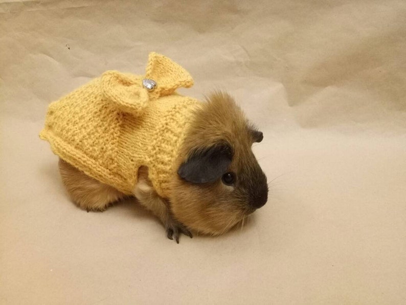 Guinea pig clothes Bunny dress Bow Sweater for pig Accessories Etsy