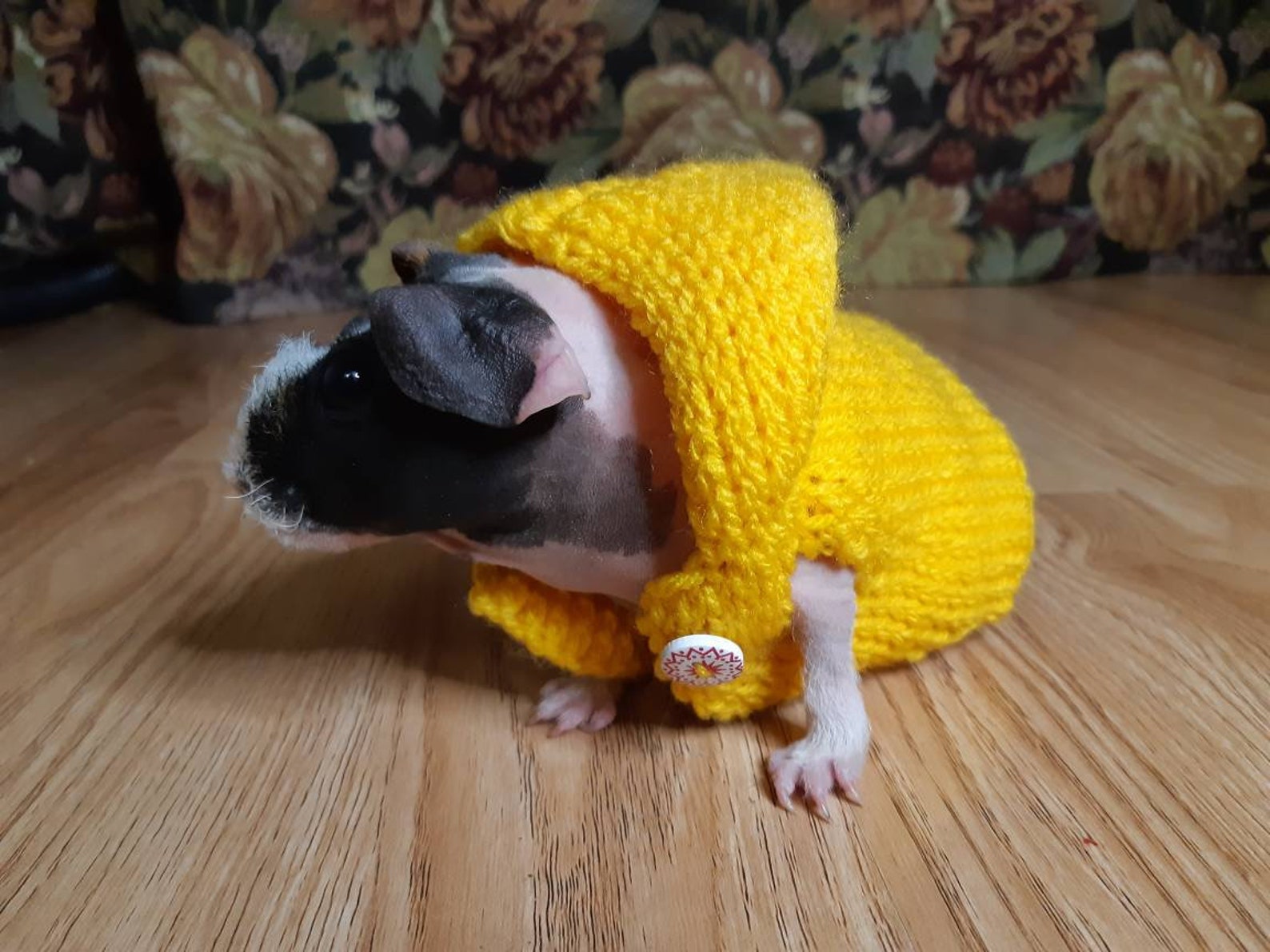 Guinea pigs yellow sweater Skinny pig clothes Easter costume Etsy