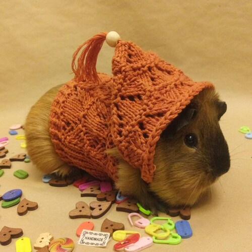 Guinea Pig Sweater Etsy