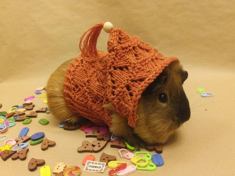 Guinea Pig Knitted Clothes for Small Pets Accessories Guinea Etsy